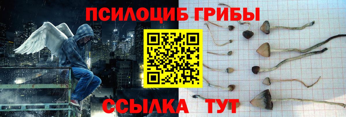 наркота  Псилоцибиновые грибы Magic Shrooms  Вход с VPN  Новотроицк 